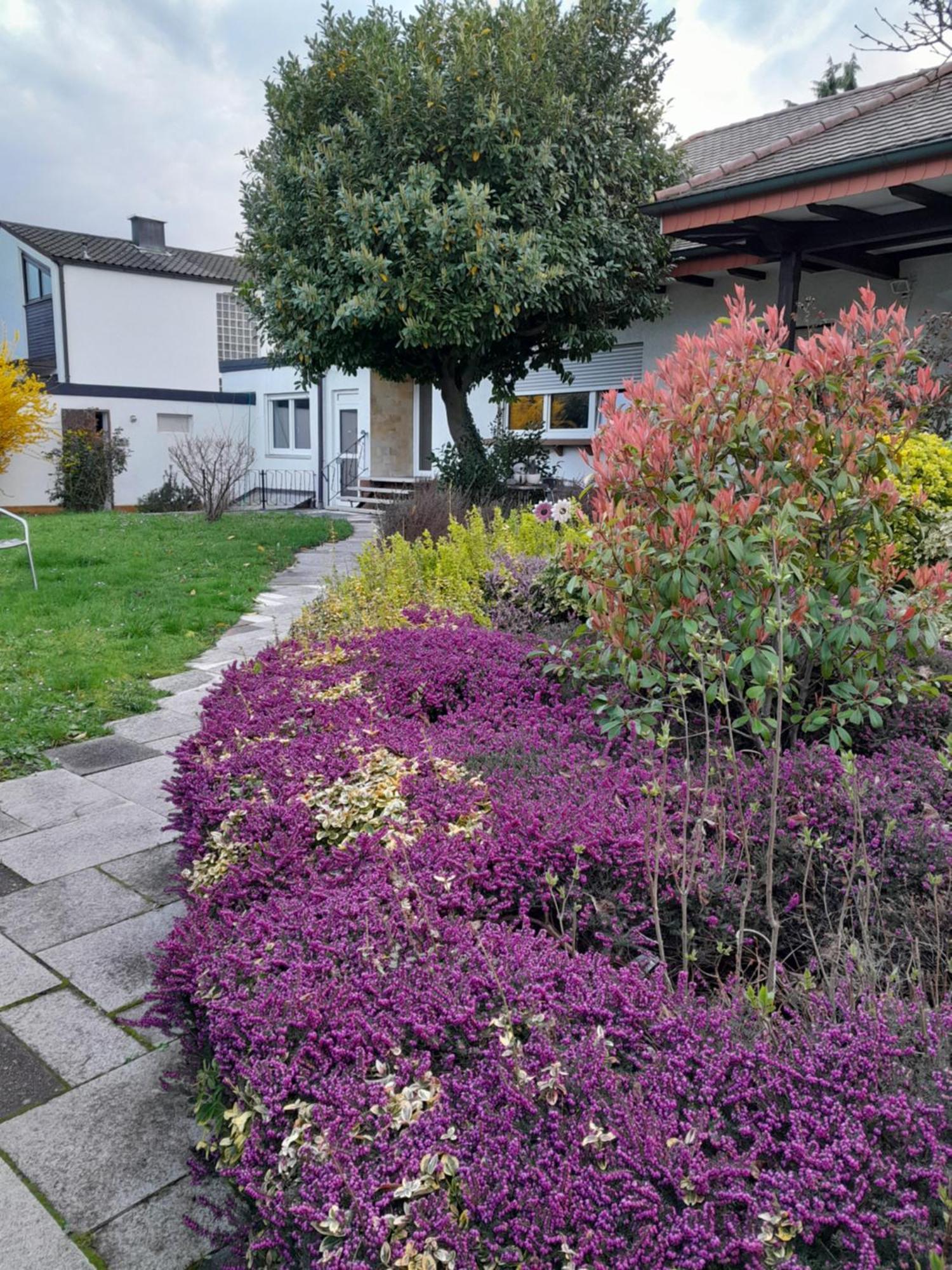Goldstueck Im Gruenen Apartment Bad Schonborn Exterior foto